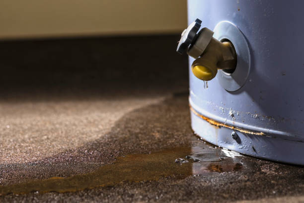 Local water damage restoration in Lindstrom, MN