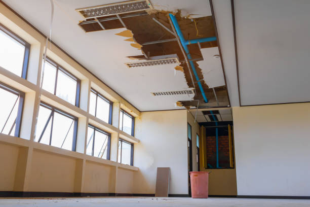 Best Commercial water damage restoration  in Lindstrom, MN