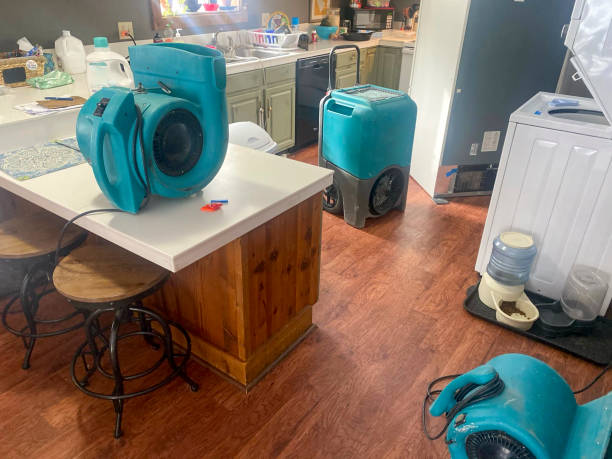 Best Local water damage restoration  in Lindstrom, MN