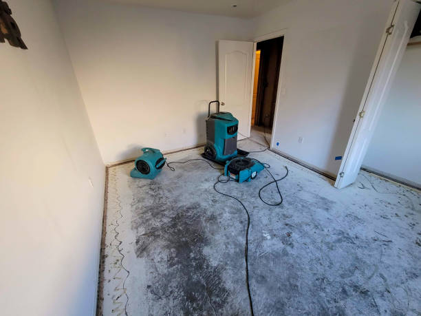 Best 24-hour water damage restoration  in Lindstrom, MN