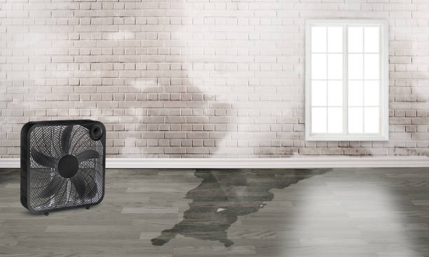 Best 24/7 water damage repair  in Lindstrom, MN