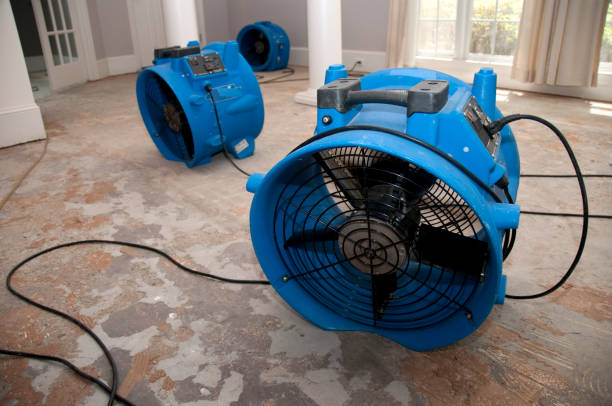 Best Local water damage restoration  in Lindstrom, MN