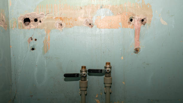 Best Sewage cleanup and water damage restoration  in Lindstrom, MN