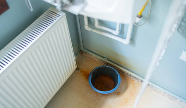 Best Local water damage restoration  in Lindstrom, MN
