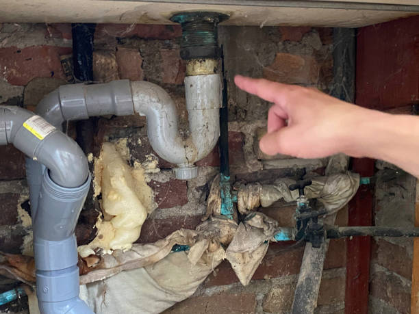 Best Mold removal after water damage  in Lindstrom, MN