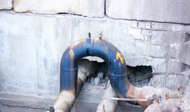 Best Water damage restoration near me  in Lindstrom, MN