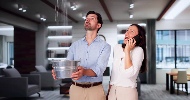 Best Carpet water damage restoration  in Lindstrom, MN